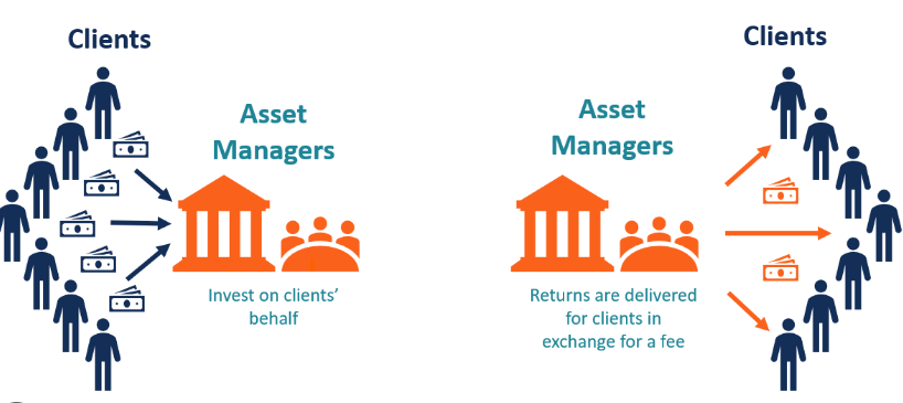Asset Management Companies